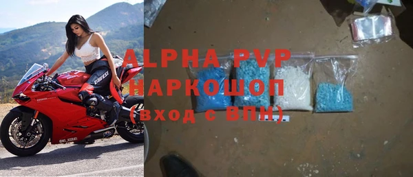 индика Белоозёрский