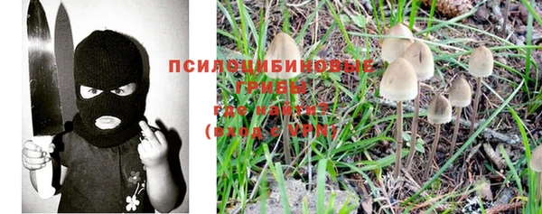 винт Белокуриха