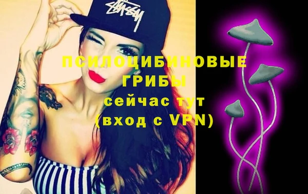 винт Белокуриха